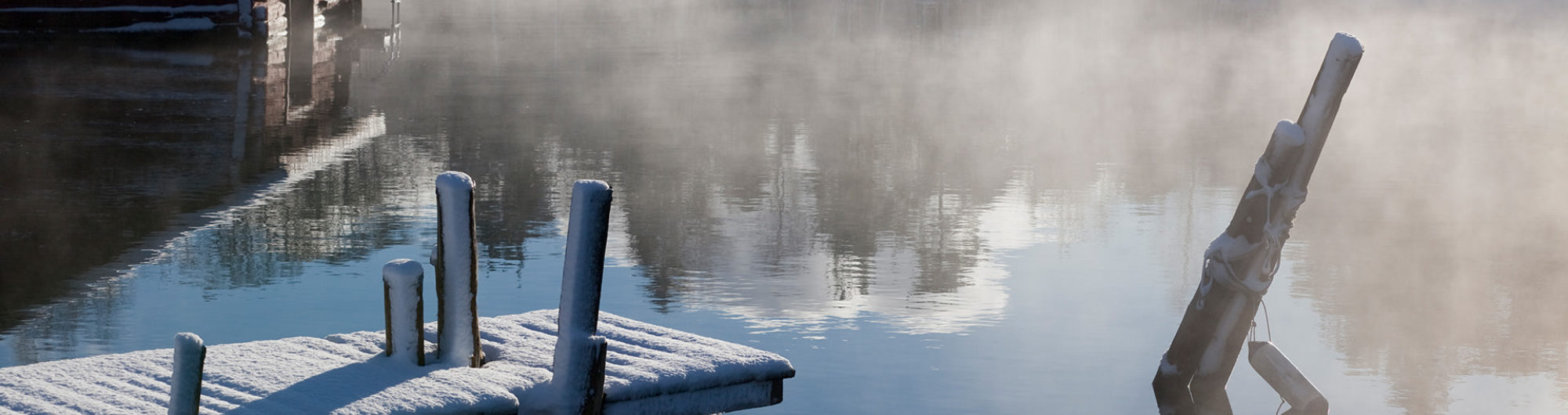 The North tausta 2019